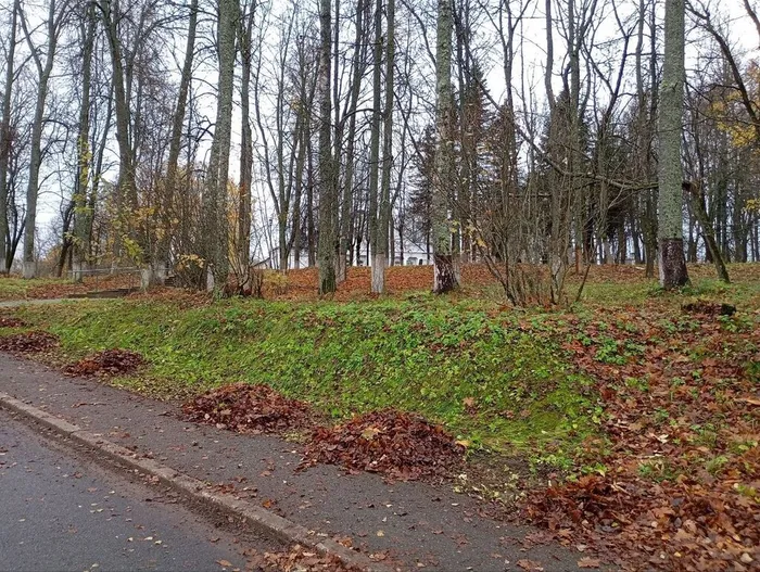 rGUNw7zyLFneKyLlTHcP_NZl85C4Y0BF5sQMUMoerOuRSv-H7w0SFFLyNLh2qQcvtrI8GVzgL97cT7bnA0O12hPE